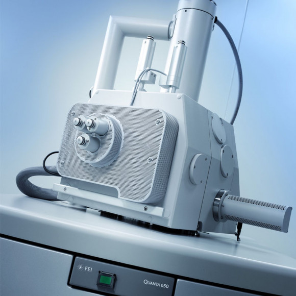 Сканирующий электронный микроскоп FEI Quanta 650 Сканирующий электронный микроскоп FEI Quanta 650