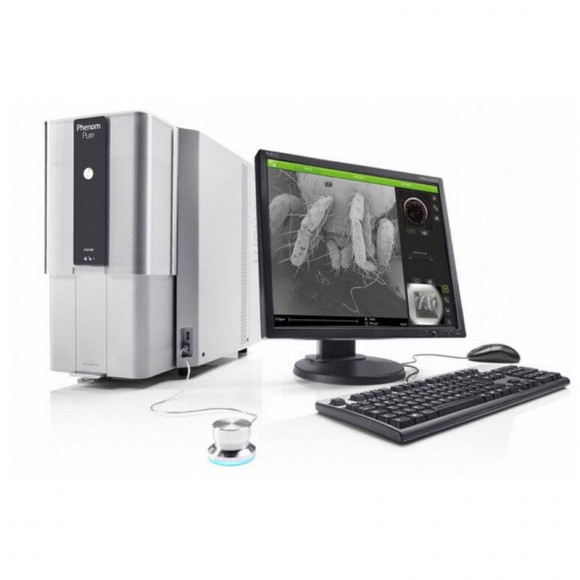 Сканирующий электронный микроскоп Phenom Pure