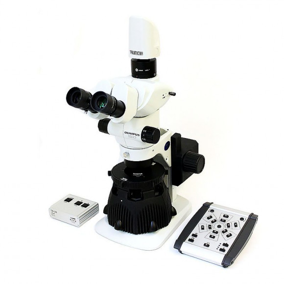 Стереомикроскоп Olympus SZX7 Стереомикроскоп Olympus SZX7